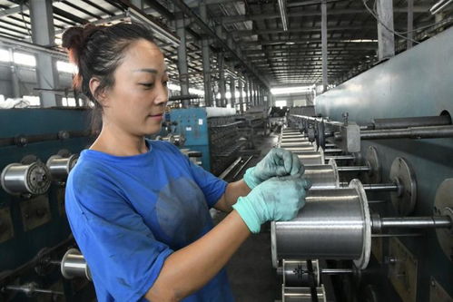 洪企在线丨江苏港缆新材料 铝合金工艺全国领先，新材料技术研发领航行业